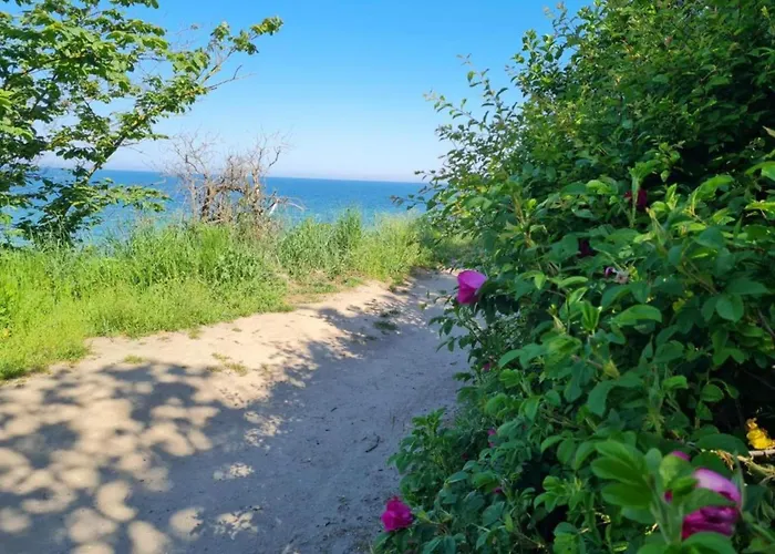 In Nahe Ostseestrand 公寓 奥斯特巴德里克